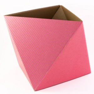 octa-storage-box-fluorescent-pink (1)