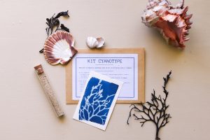 débuter le cyanotype