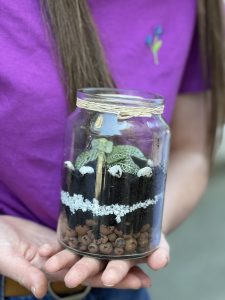 Atelier terrarium en bretagne
