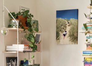 idée déco personnalisée avec une toile photo